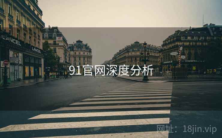 91官网深度分析