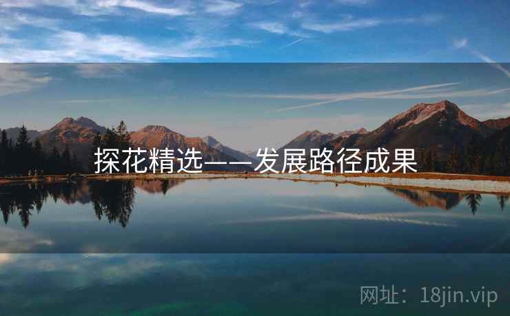 探花精选——发展路径成果