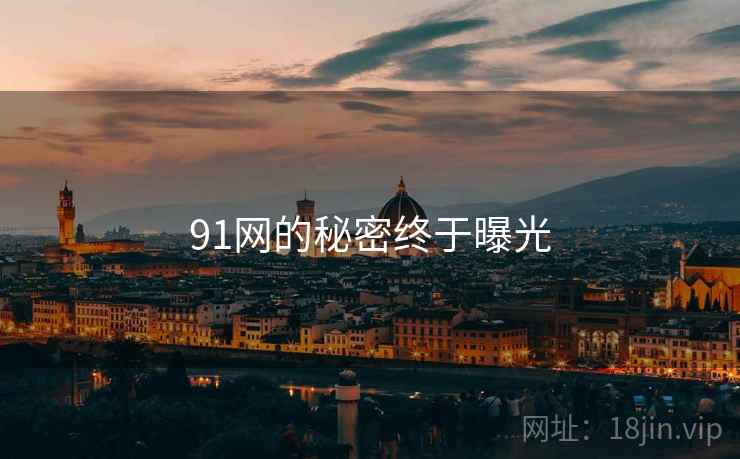 91网的秘密终于曝光